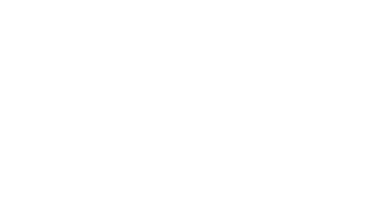 Ham Group BD